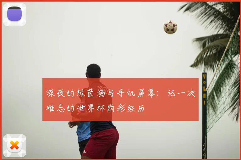 深夜的绿茵场与手机屏幕:记一次难忘的世界杯购彩经历