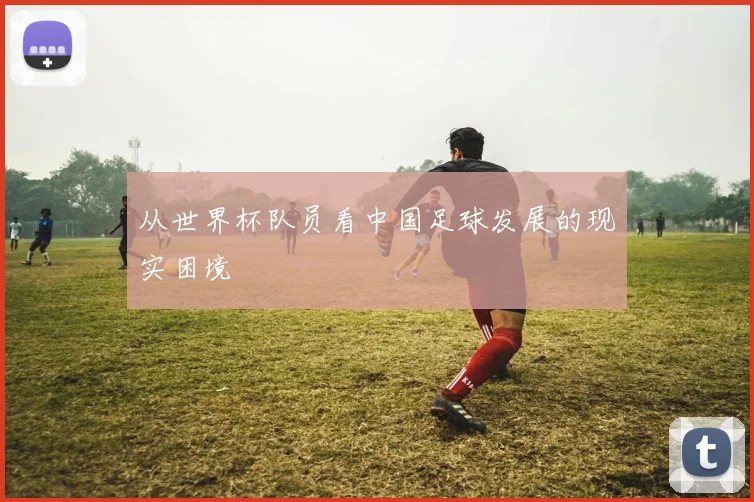 从世界杯队员看中国足球发展的现实困境