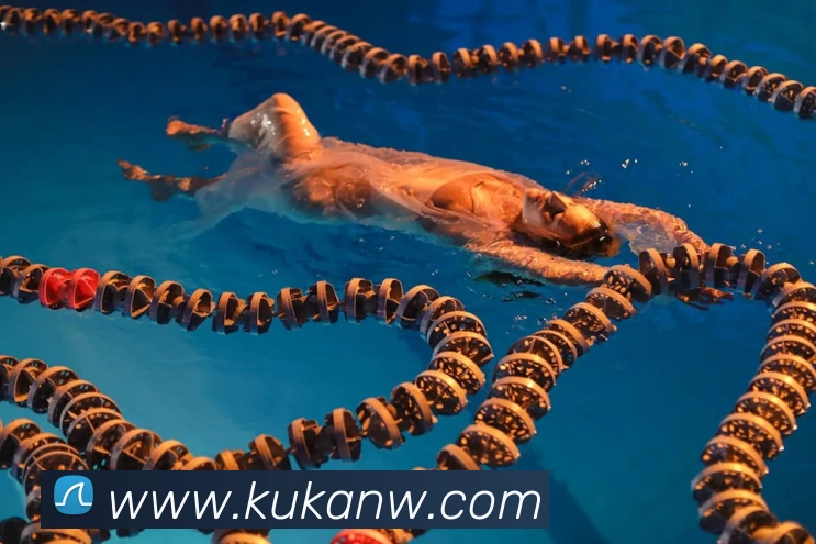 欧宝手机网页版APP 高清赛事图